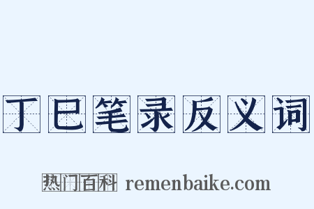 丁巳笔录反义词是什么意思的图片